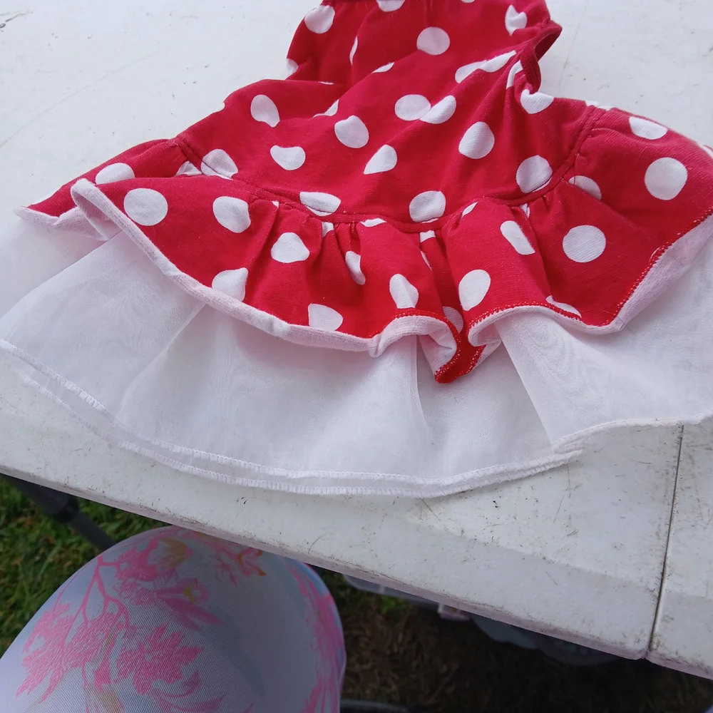 Pink and Red Heart Dog Dress